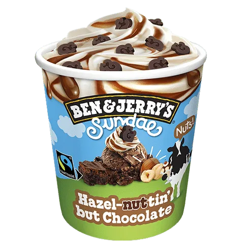 Ben & Jerry's Hazel-nuttin' But Chocolate Sundae 433ml