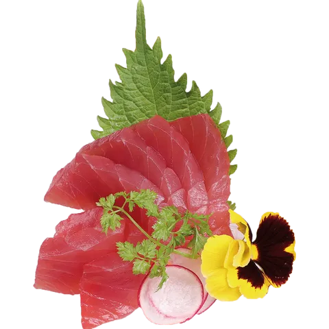 Maguro sashimi