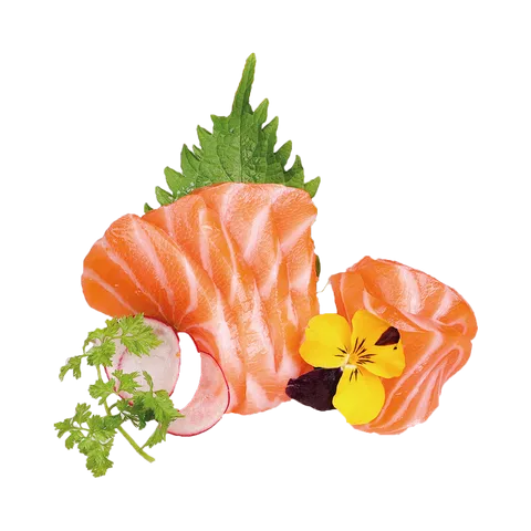 Sake sashimi