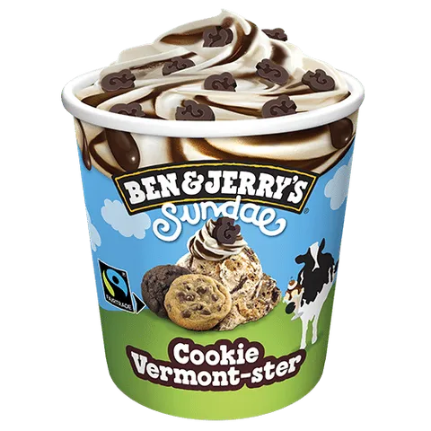 Ben & Jerry's Cookie Vermont-ster Sundae 465ml