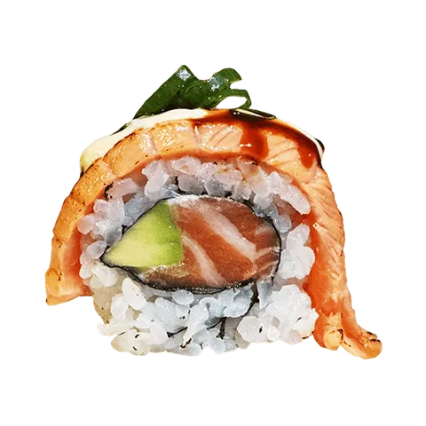 Double salmon roll