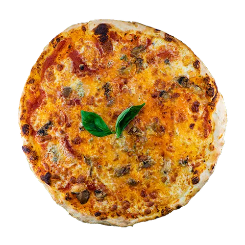Pizza quattro stagioni