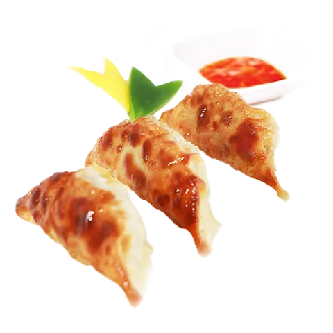 Vegan gyoza