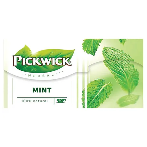 Pickwick herbal goodness munt 20 stuks