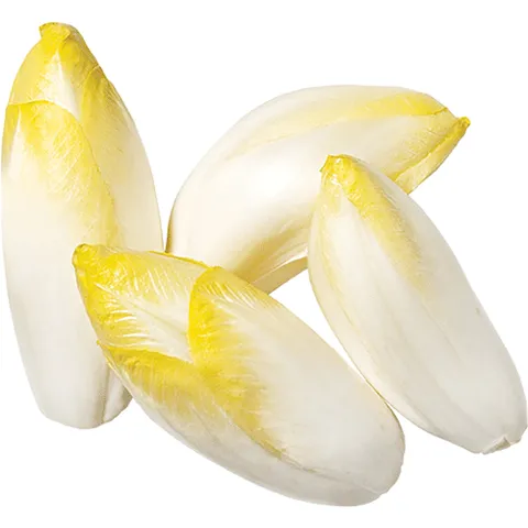 Witlof grof 500 gram