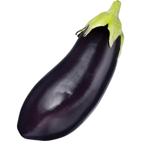 Aubergine 1 stuk