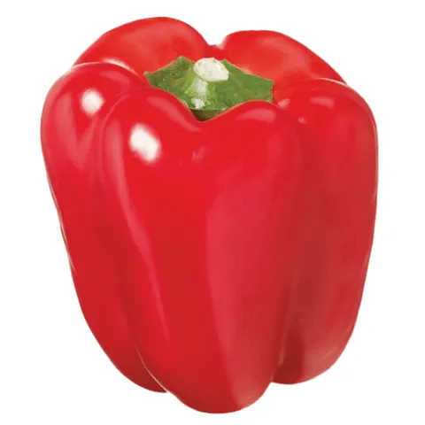 Paprika rood