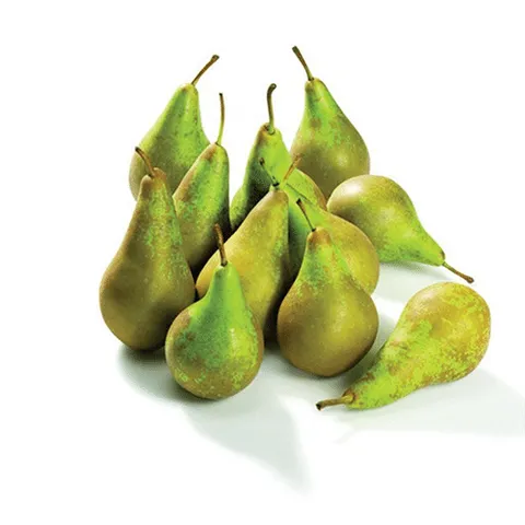 Conference handpeer per stuk