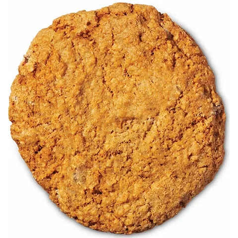 Havermoutkoek choco 90 gram