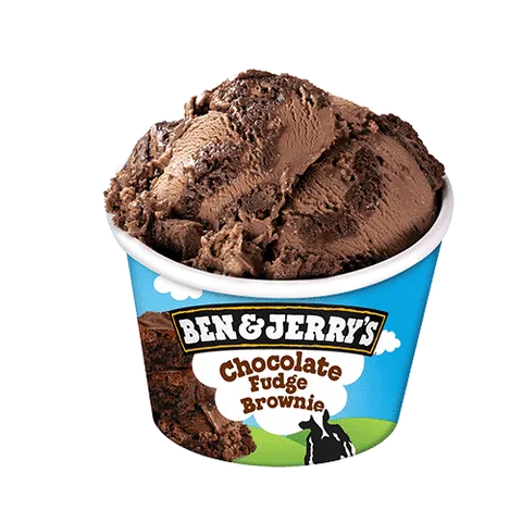 Ben & Jerry's Chocolate Fudge Brownie 100ml