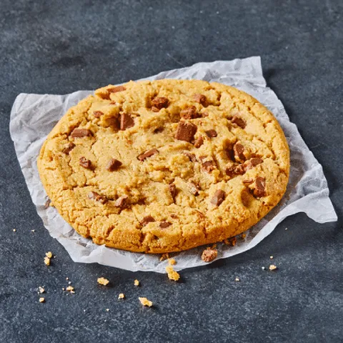 Giant Chocolate Chip Cookie