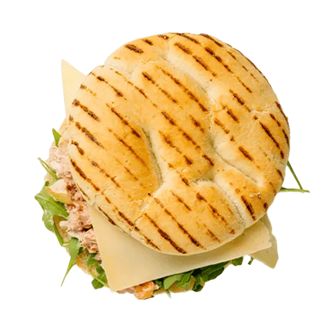 Hot sandwich tuna melt
