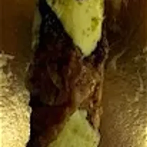 Cannoli 1 stuk
