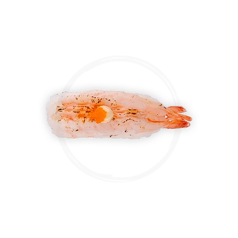 Flamed ebi nigiri