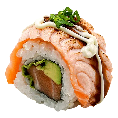 Double salmon roll