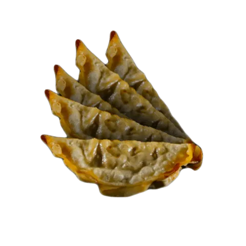 Gyoza kip, 5 stuks