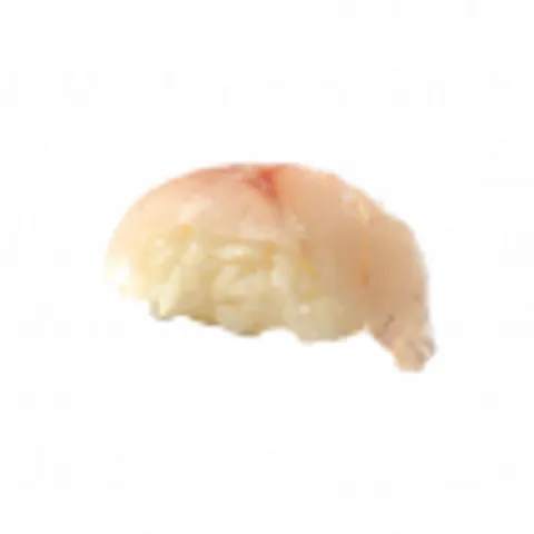 Nigiri suzuki