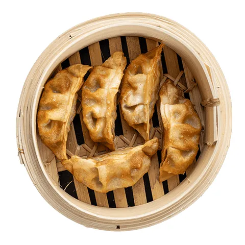 Fried Chicken Gyoza