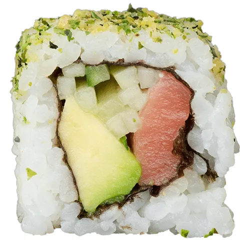 Vega colourful salmon