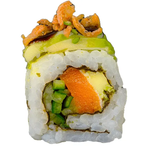 Vega salmon dragon roll