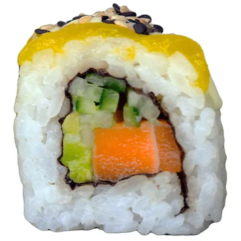 Vega salmon x mango