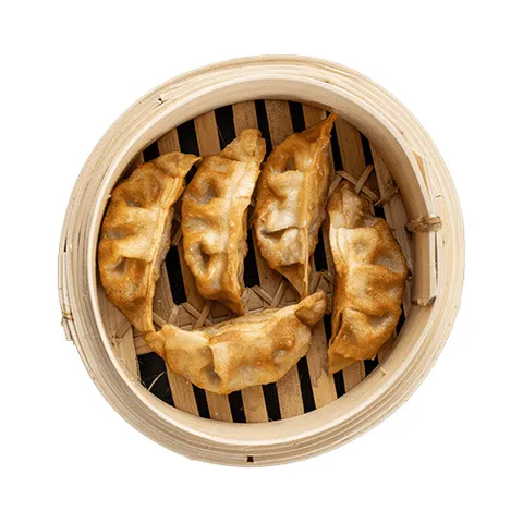 Vega Gyoza