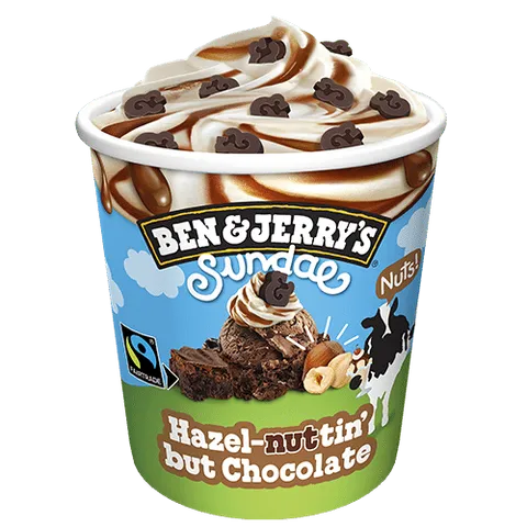 Ben & Jerry's Hazel-nuttin' But Chocolate Sundae 465 ml