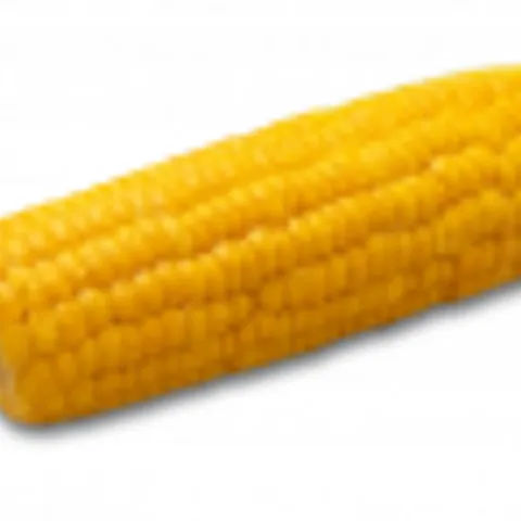 Zoete maïskolf