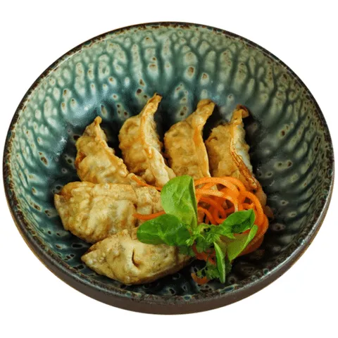 Gyoza