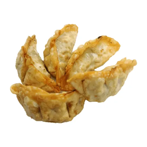 Gyoza kip