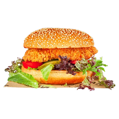 Southern fried chicken burger