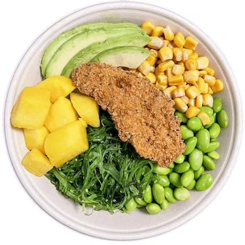 Poke bowl kip