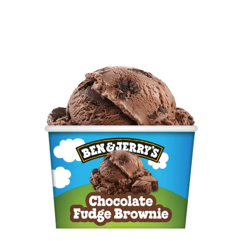 Ben & Jerry's 100ml Chocolate Fudge Brownie