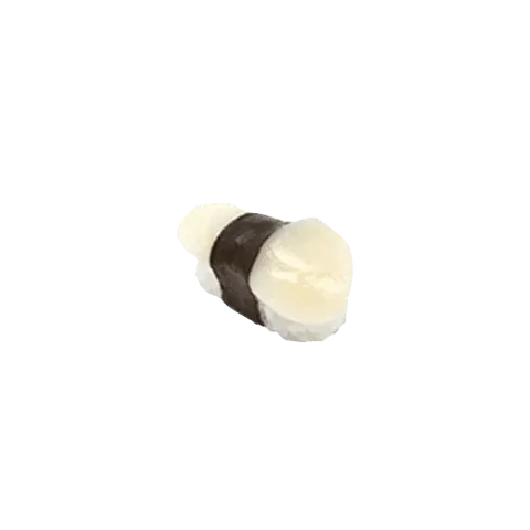Hotategai nigiri