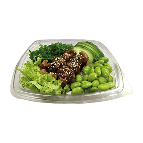 Teriyaki chicken bowl klein