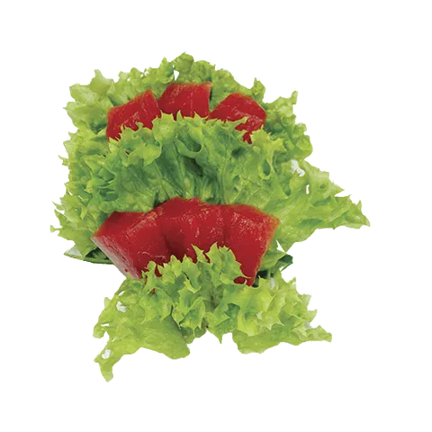 Sashimi tonijn